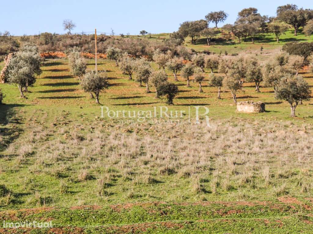 Terreno com cerca de 1,3Ha localizado próximo de Terena, Alandroal - Grande imagem: 2/14
