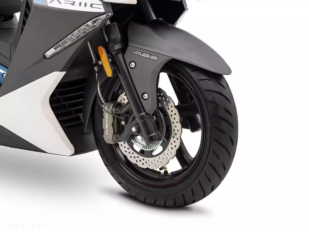 Ariic 318 - 12