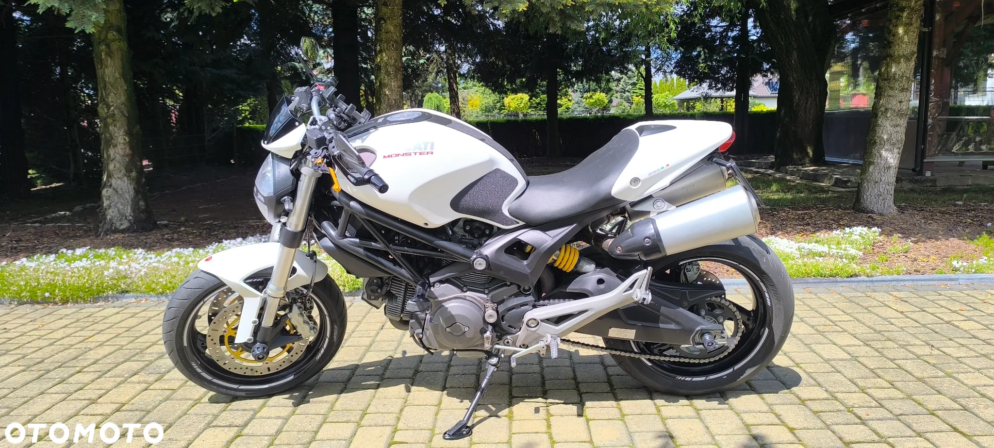 Ducati Monster - 8