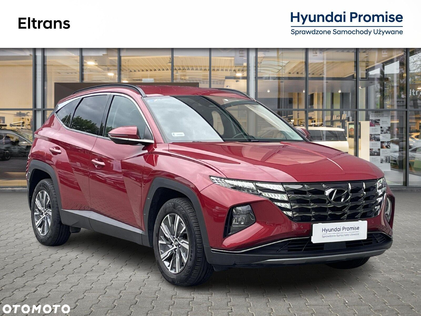 Hyundai Tucson 1.6 T-GDi HEV Executive 2WD - 8