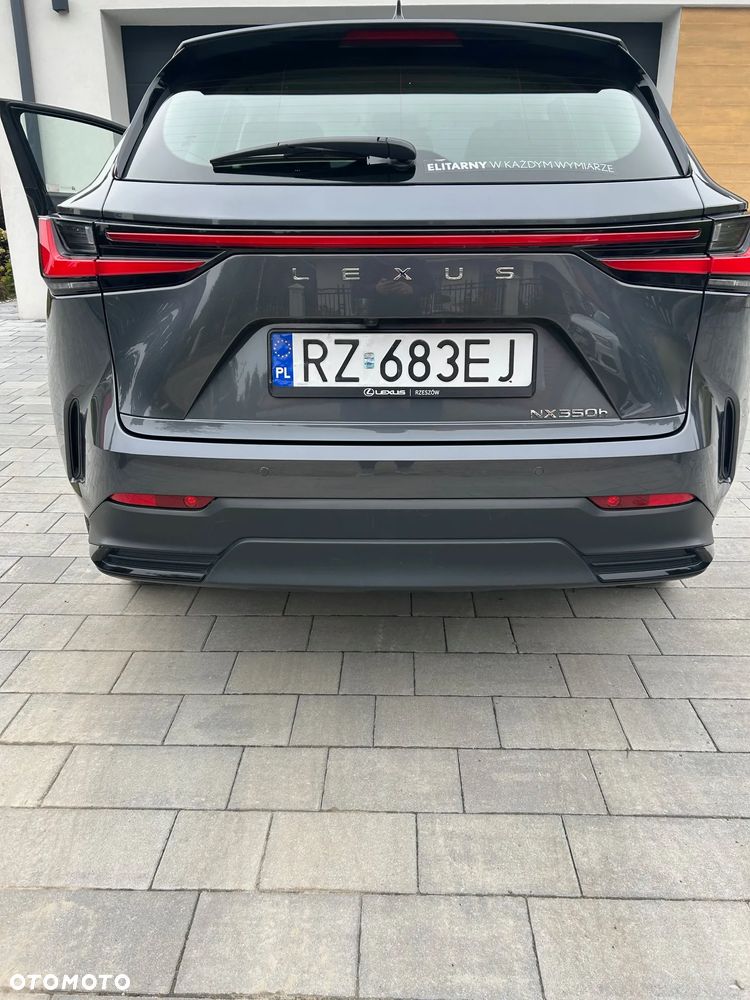 Lexus NX 350h Business AWD - 6