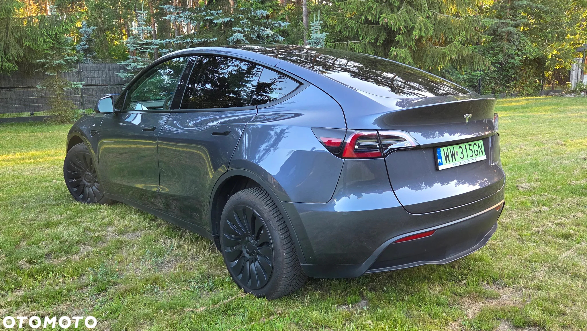 Tesla Y Model Long Range Dual Motor AWD - 4