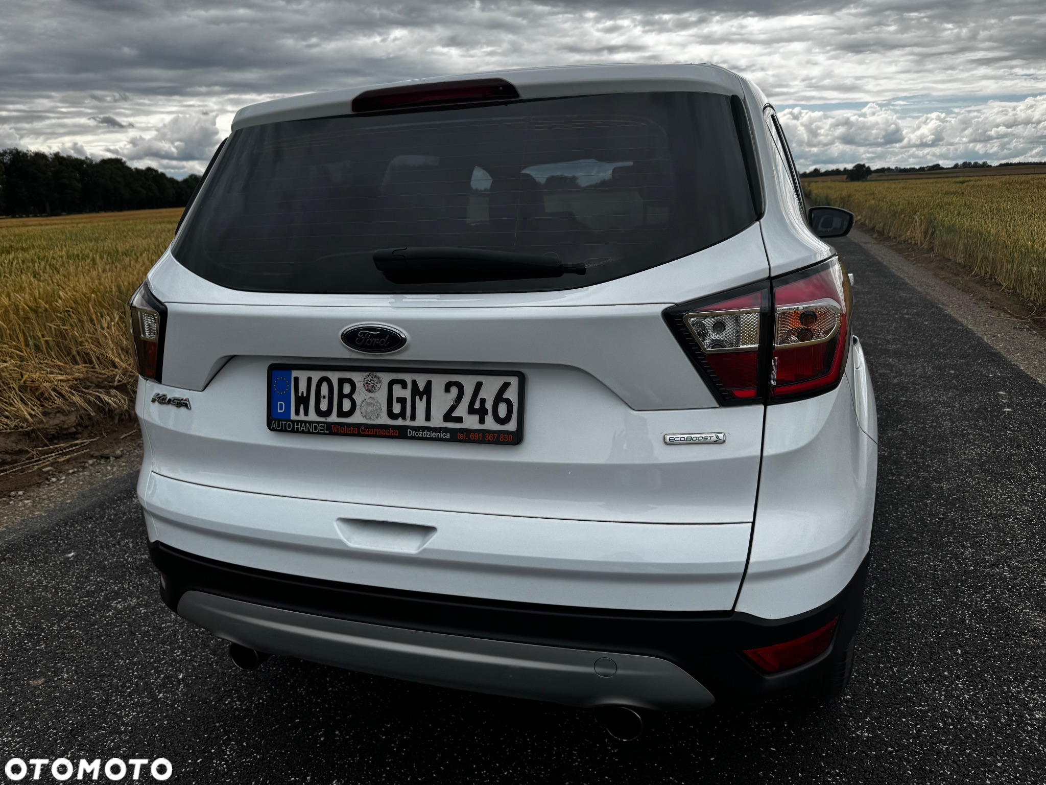 Ford Kuga 1.5 EcoBoost 2x4 Trend - 10