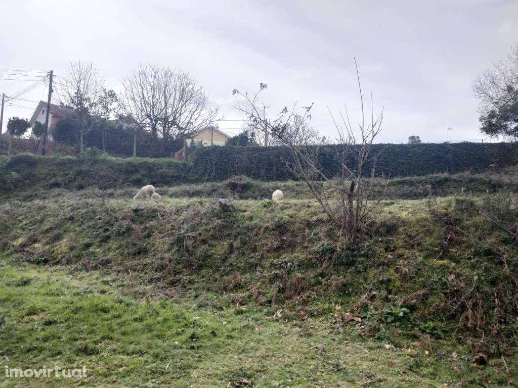 Terreno urbanizável - Grande imagem: 5/15