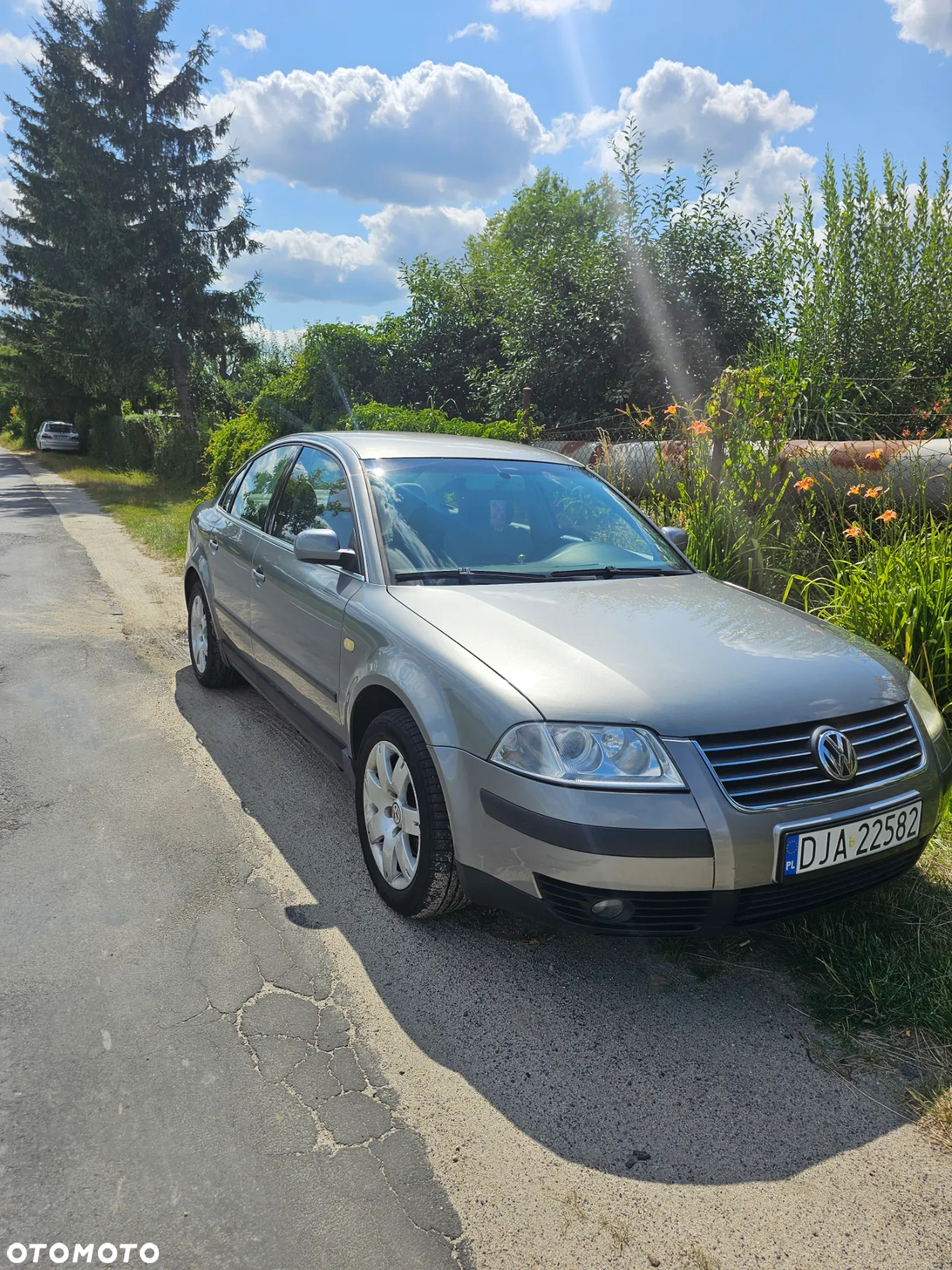 Volkswagen Passat - 3