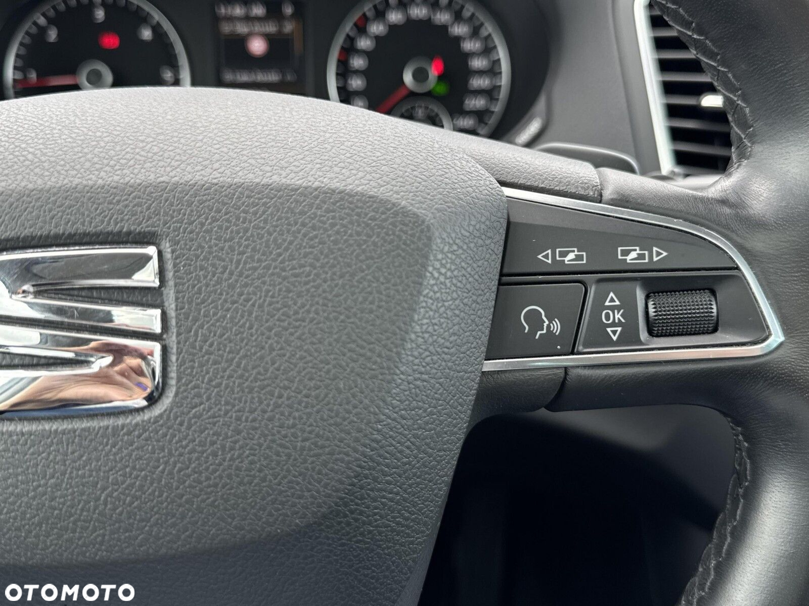 Seat Alhambra 2.0 TDI Xcellence DSG - 22