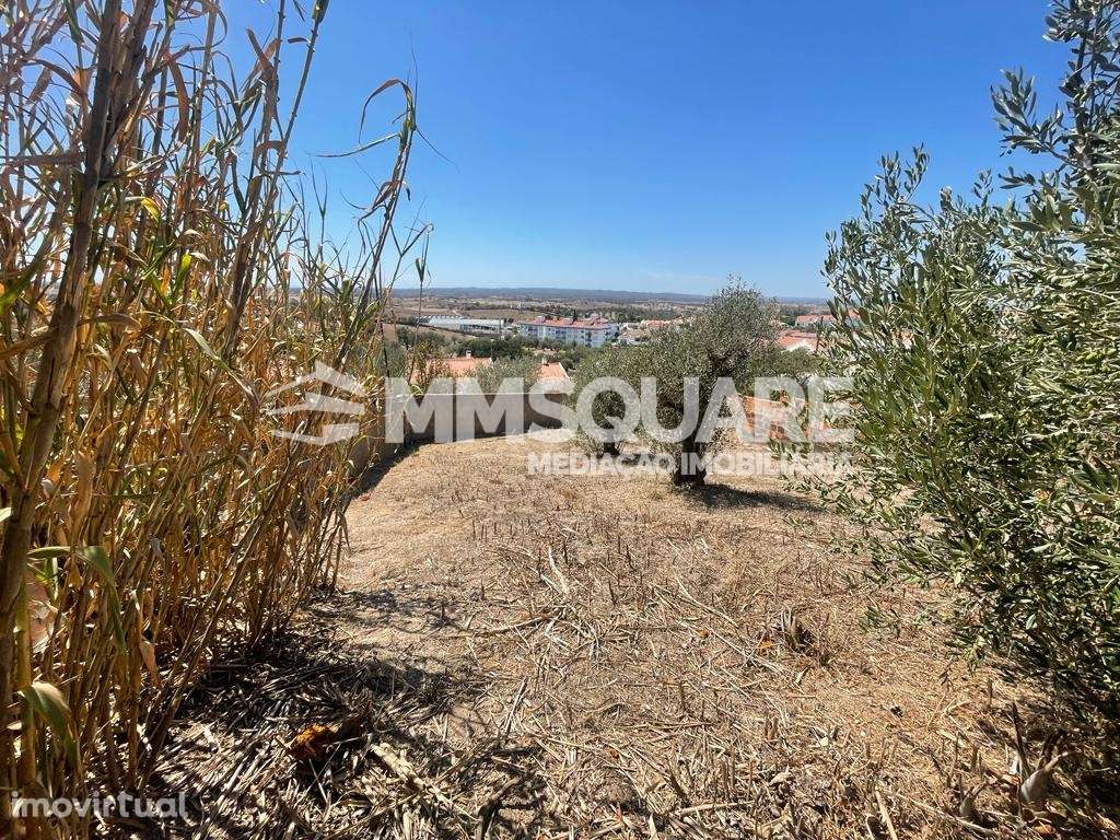 Terreno Para Construção  Venda em Ourique,Ourique - Grande imagem: 3/9