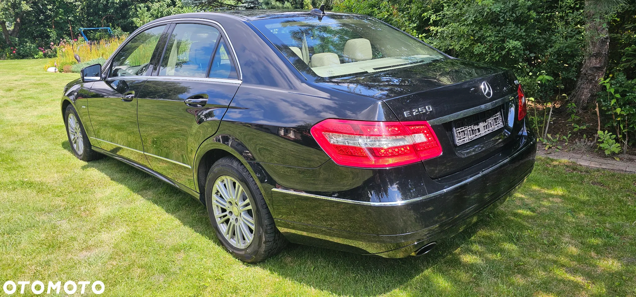 Mercedes-Benz Klasa E 250 CGI BlueEffICIENCY Elegance - 5