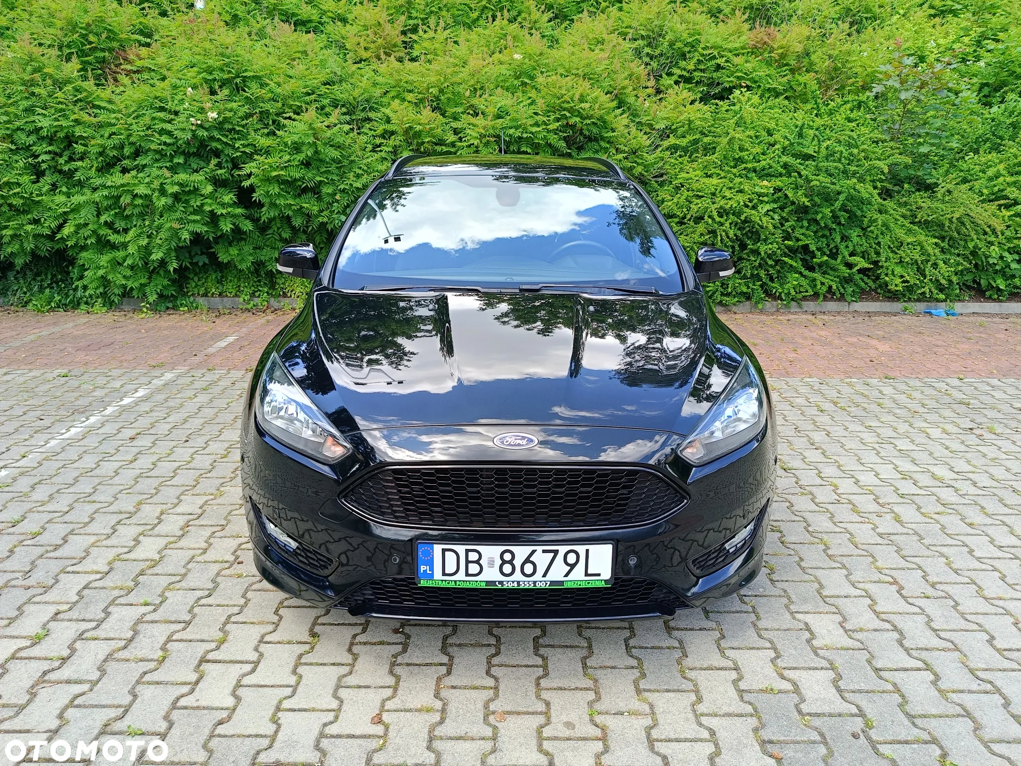 Ford Focus - 8