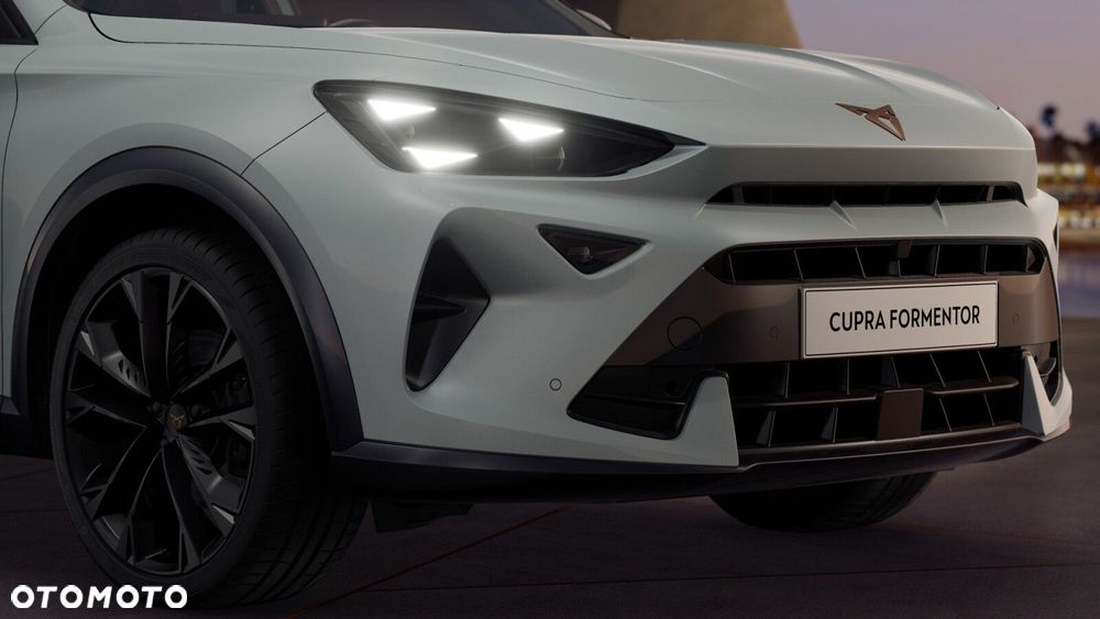 Cupra Formentor 2.0 TSI 4Drive DSG - 9