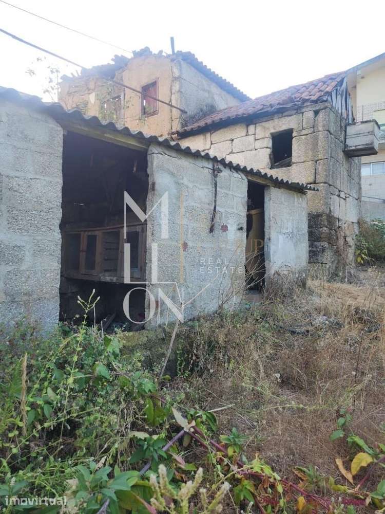 RUÍNA T3 COM DOIS ARTIGOS E 3.100 M² DE TERRENO — PADRONELO, AMARANTE - Grande imagem: 2/14