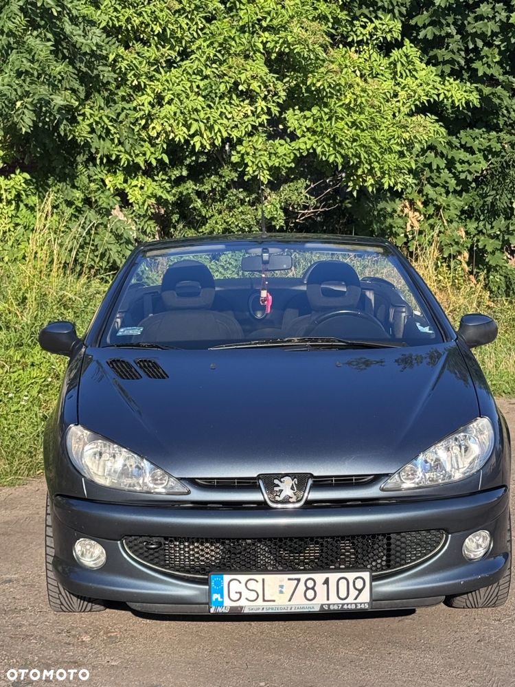 Peugeot 206 - 12