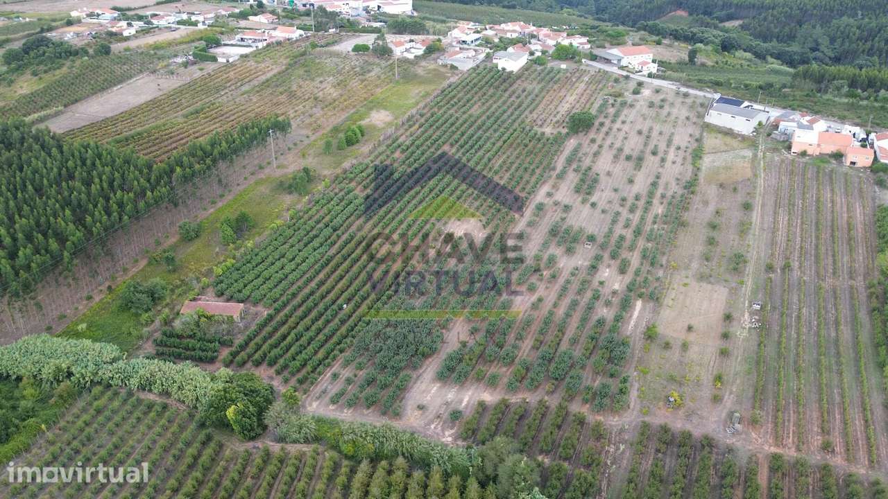 Terreno Rústico Construtível c/ 7.859 m2 Carvalhal - Bombarral - Grande imagem: 2/15