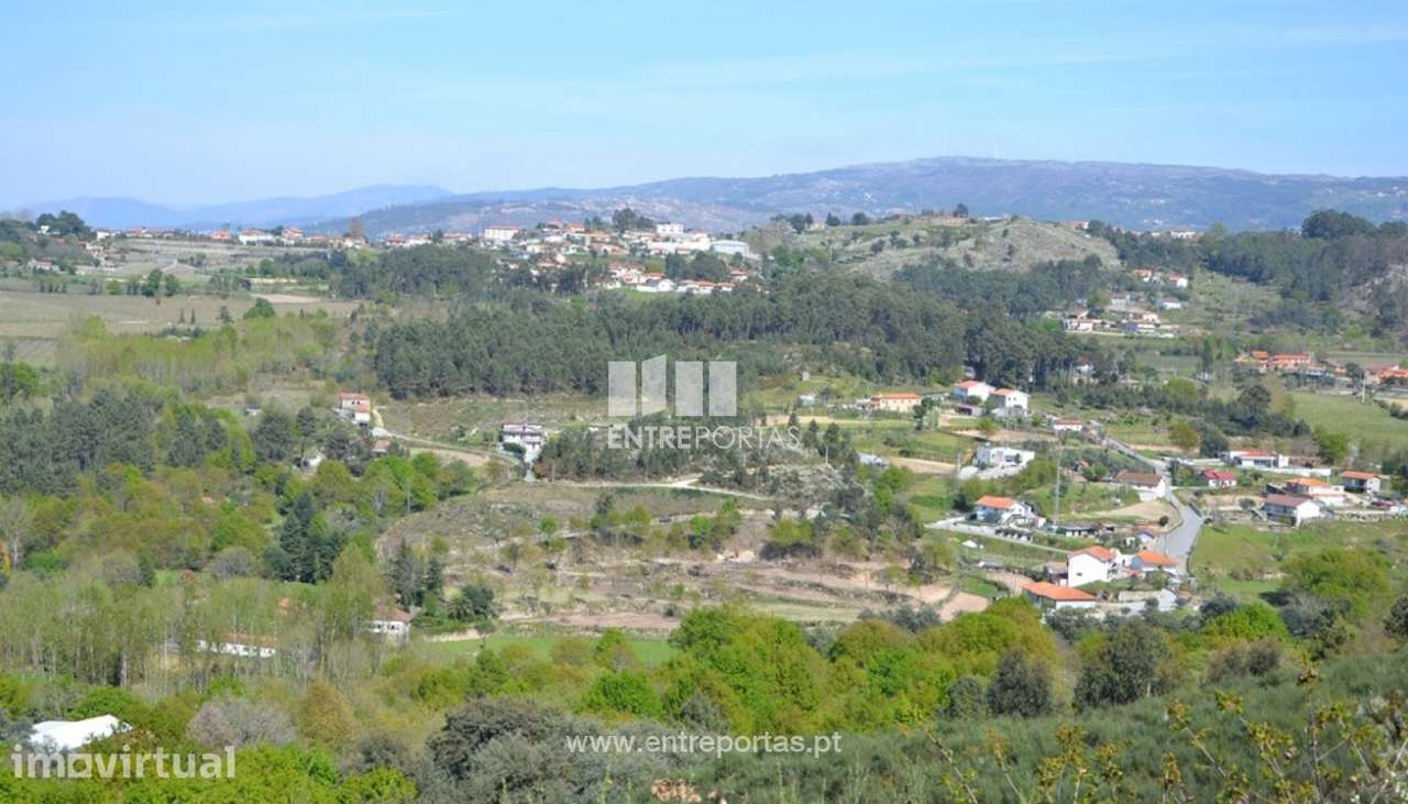 Venda Terreno, Avessadas, Marco de Canaveses - Grande imagem: 5/9