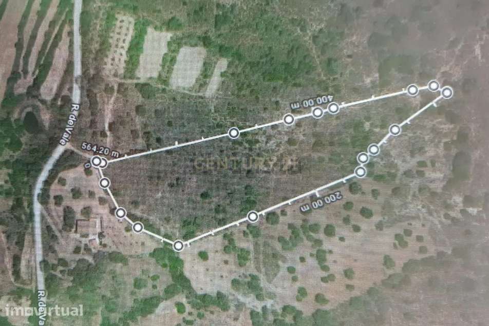 Terreno Agroflorestal em São Bartolomeu de Messines, Silves - Grande imagem: 5/6