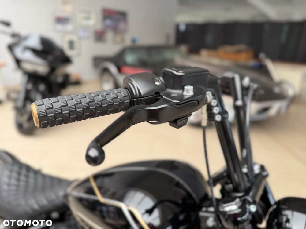 Harley-Davidson Softail - 29