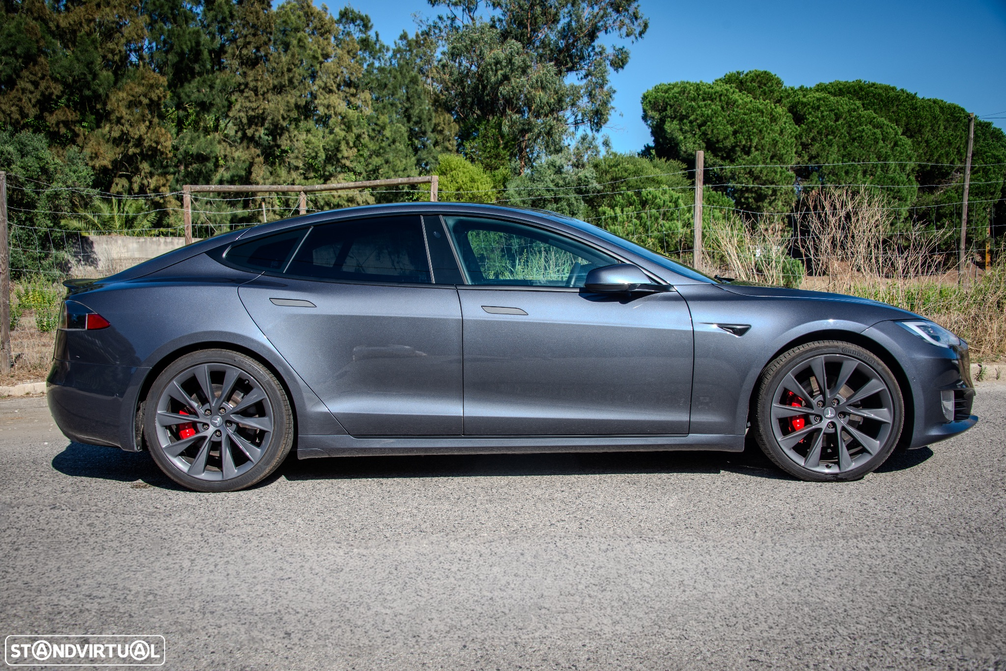 Tesla Model S Performance - 5