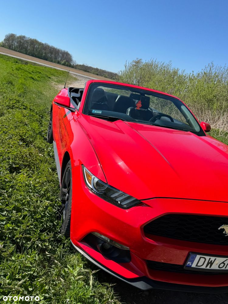 Ford Mustang Cabrio 2.3 Eco Boost - 13
