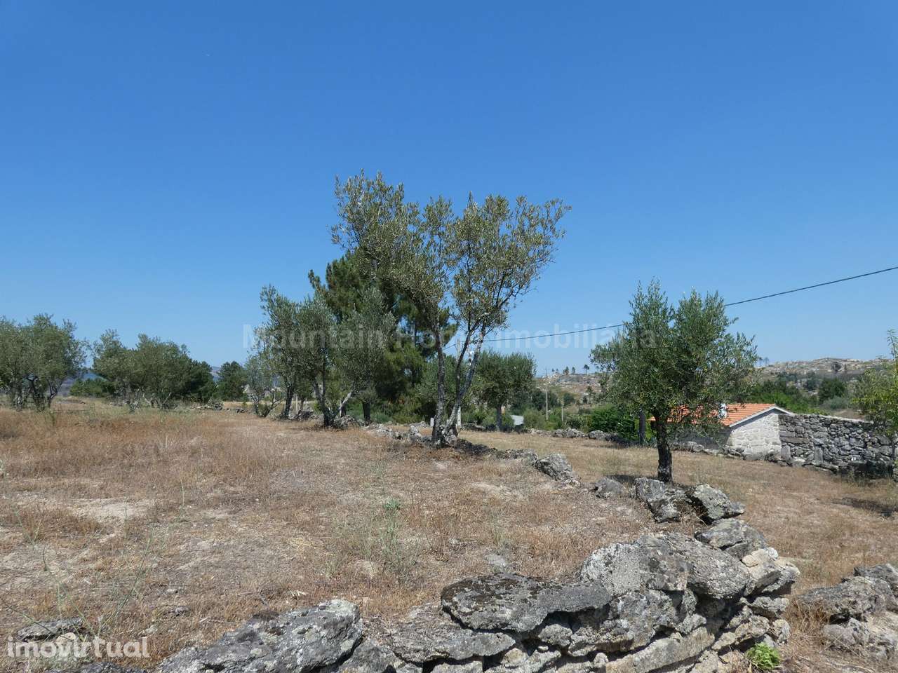 Quintinha  Venda em Arcozelo,Gouveia - Grande imagem: 5/21