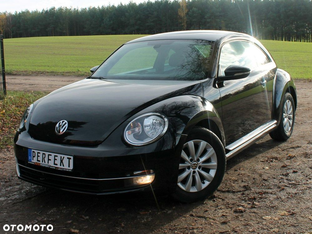 Volkswagen Beetle - 12