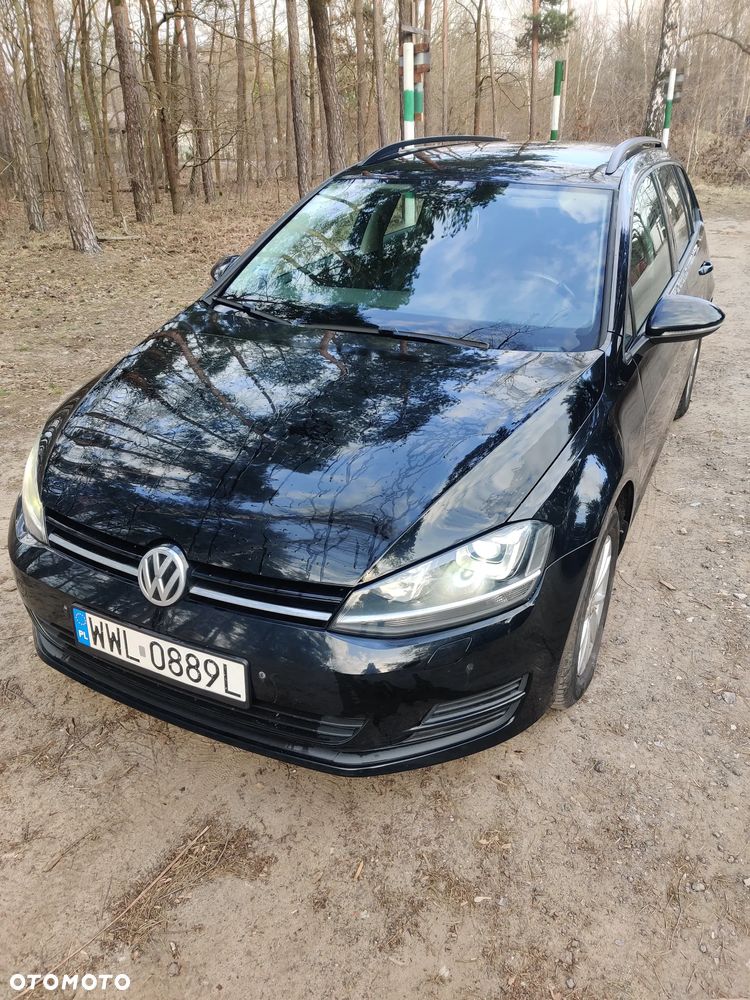 Volkswagen Golf 1.6 TDI DPF BlueMotion - 3