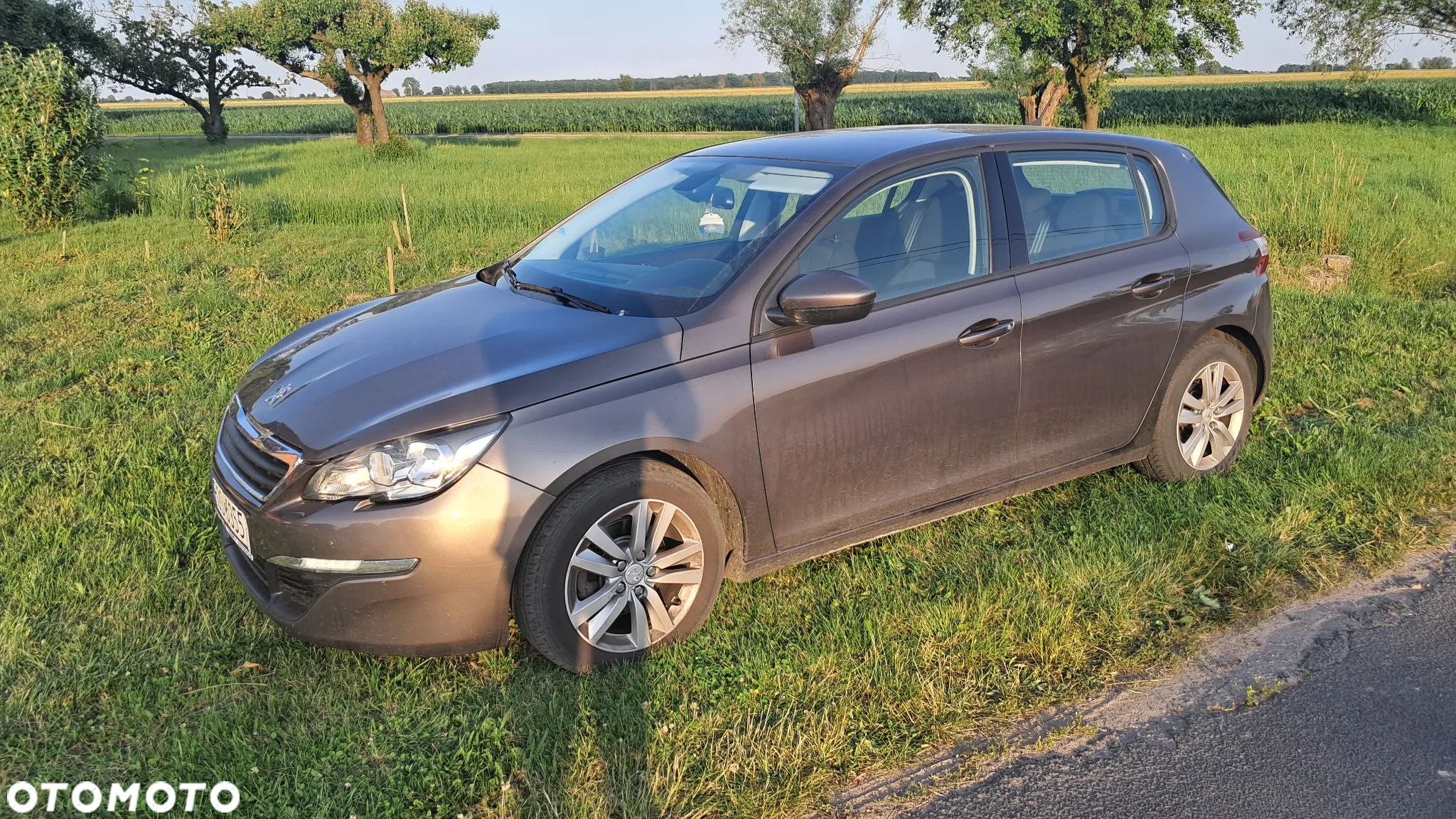 Peugeot 308 - 1