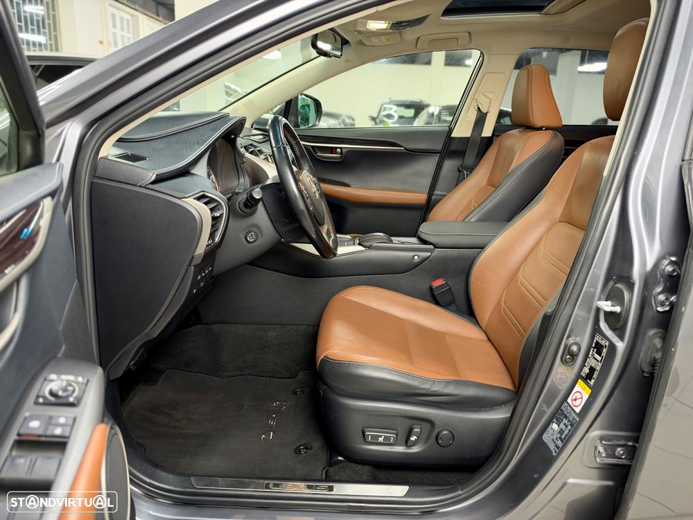 Lexus NX 300h Executive Plus - 15