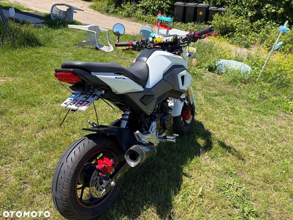 Honda MSX 125 - 3