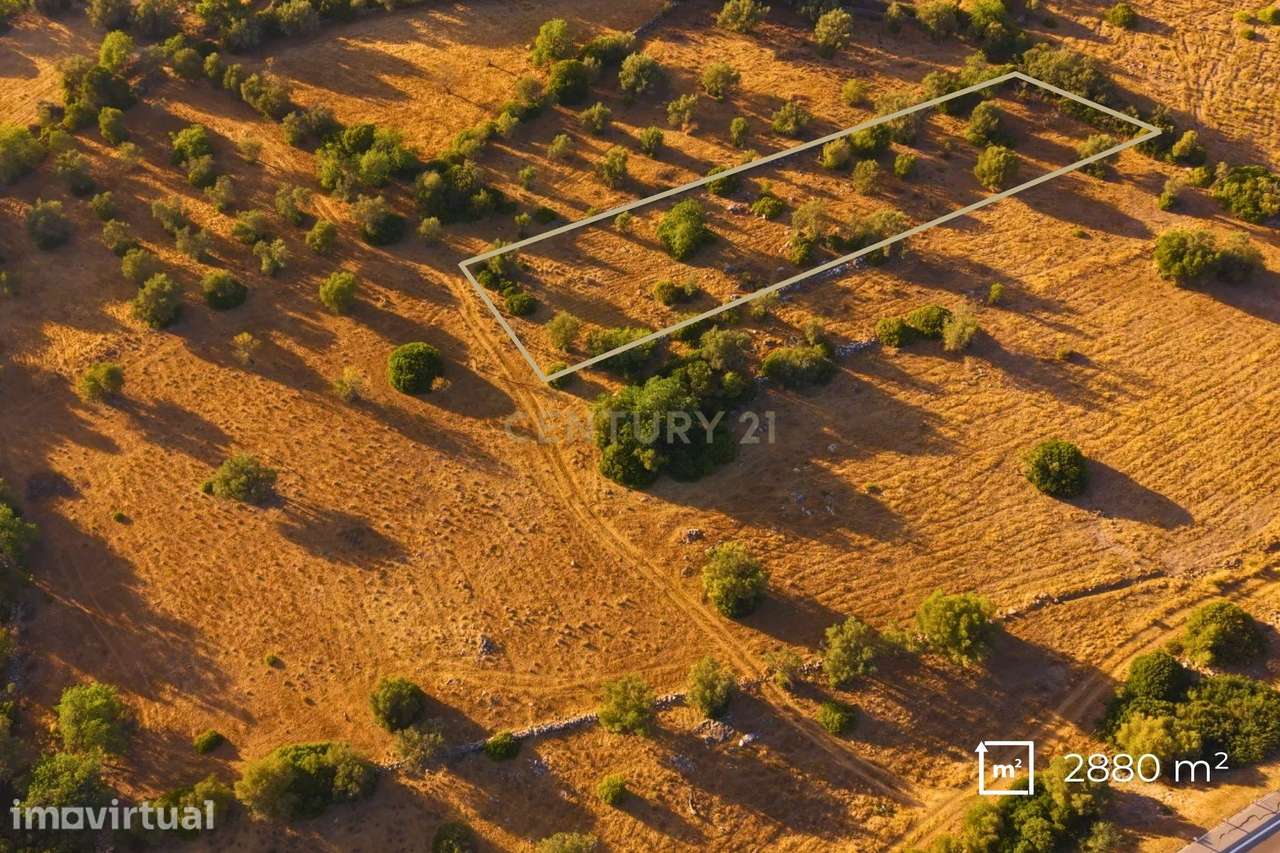 ✅ Terreno Rústico com 2.880 m² – Independência e Potencial de Expansão - Grande imagem: 3/8