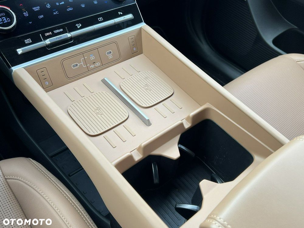 Hyundai Santa Fe - 29