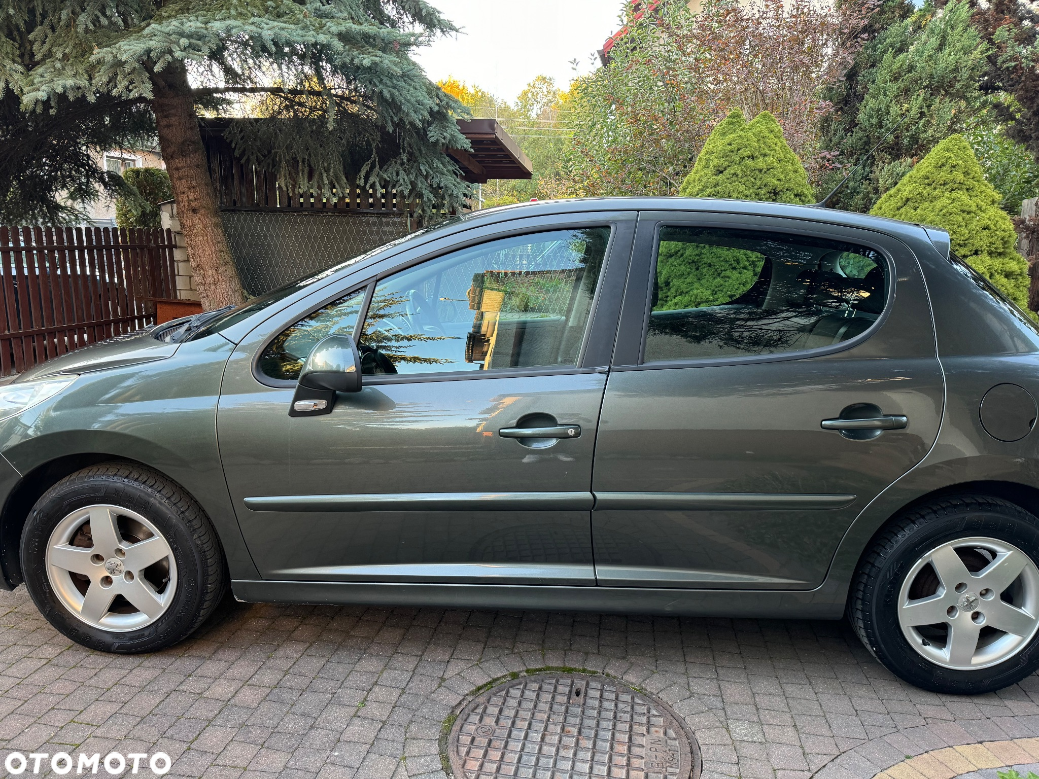 Peugeot 207 1.4 16V Presence - 6