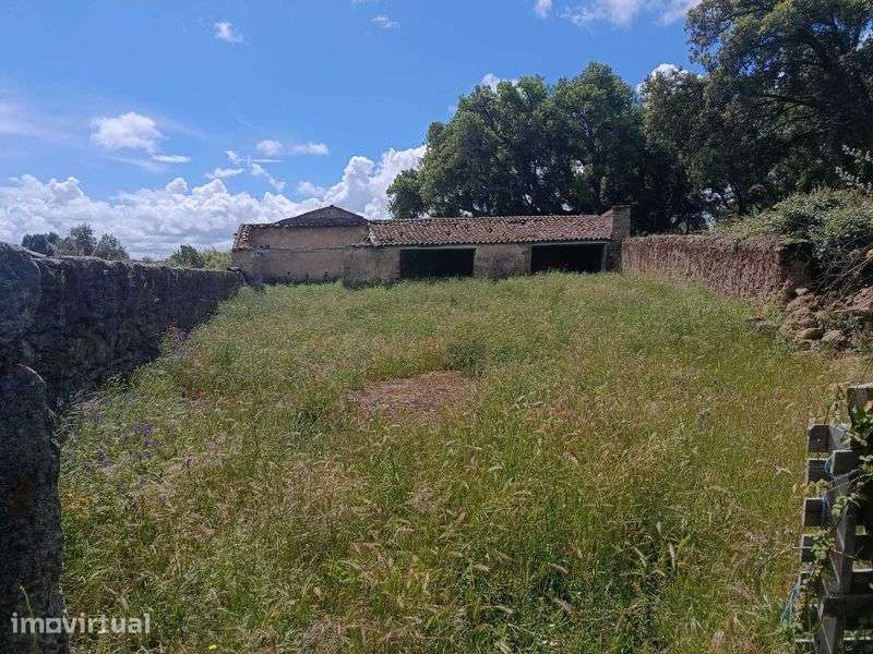Terreno Ideal para Refúgio de Campo, 7 hectares , Nisa - Grande imagem: 2/12
