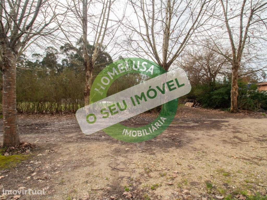 Lote Terreno - Grande imagem: 2/17