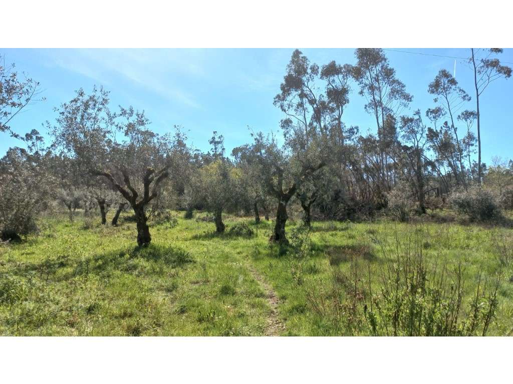 Terreno Rustico - Grande imagem: 4/10