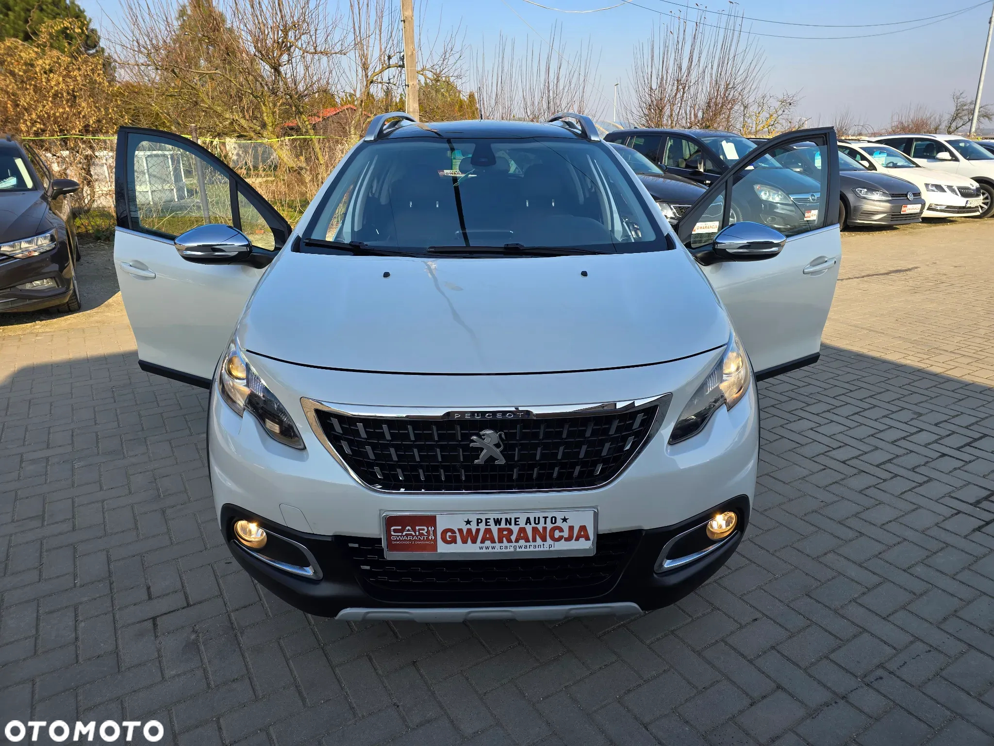 Peugeot 2008 - 23