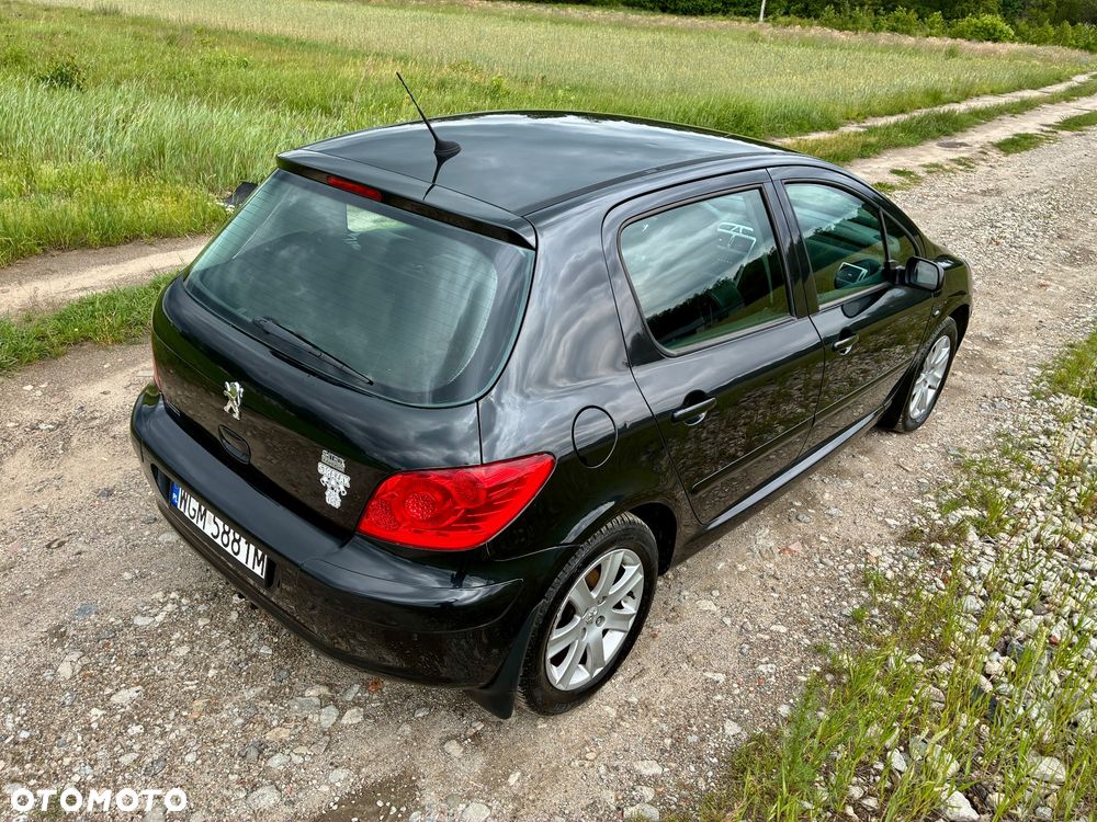 Peugeot 307 - 14
