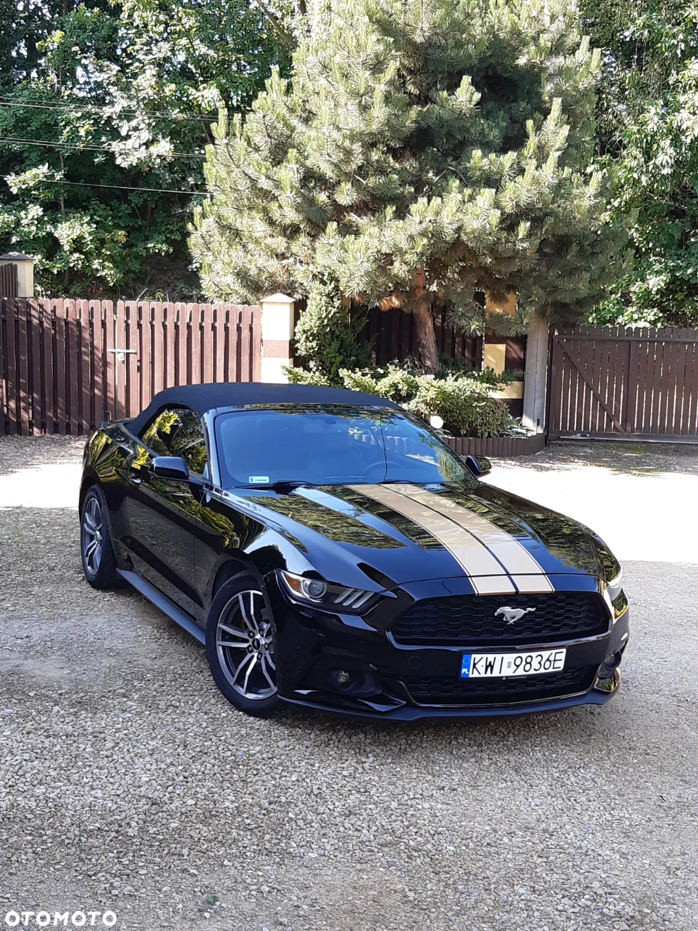 Ford Mustang Cabrio 2.3 Eco Boost - 21