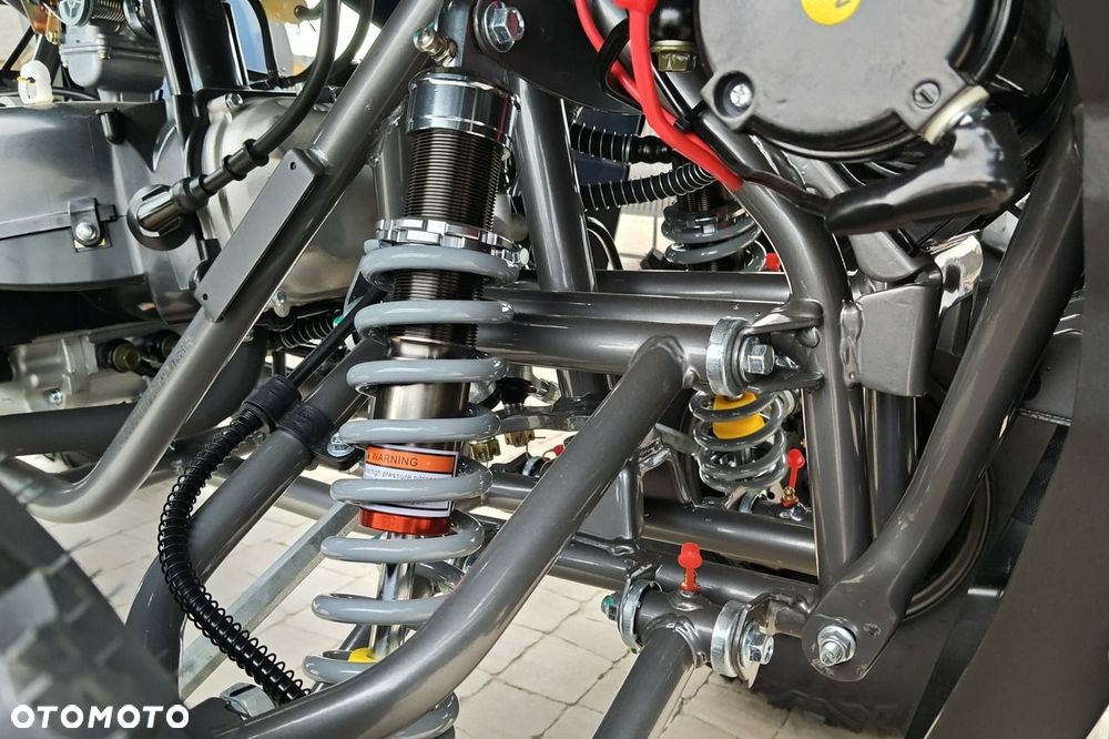 Diabolini Inny - 13