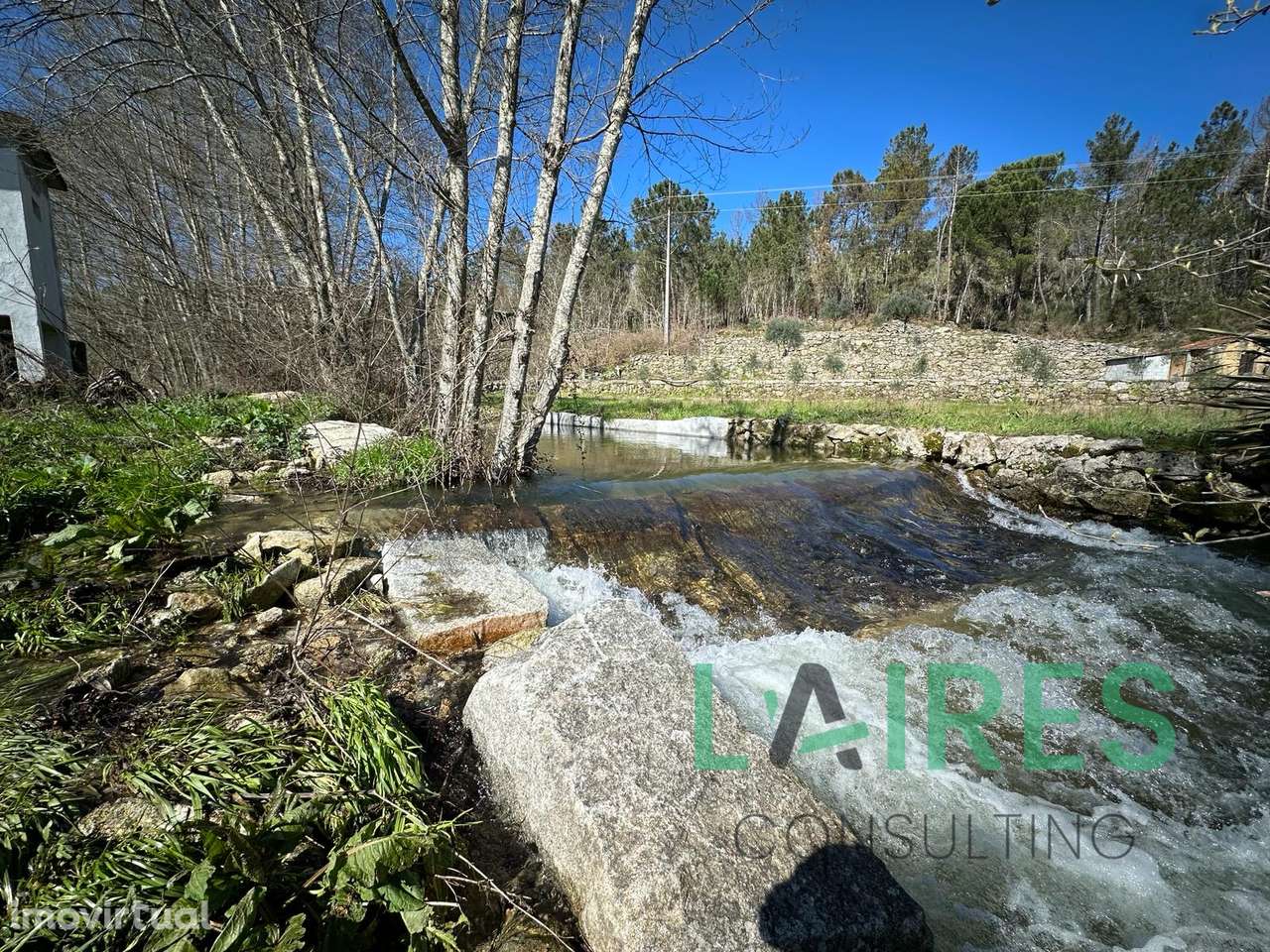 Quinta Agrícola com 3ha - Grande imagem: 5/10