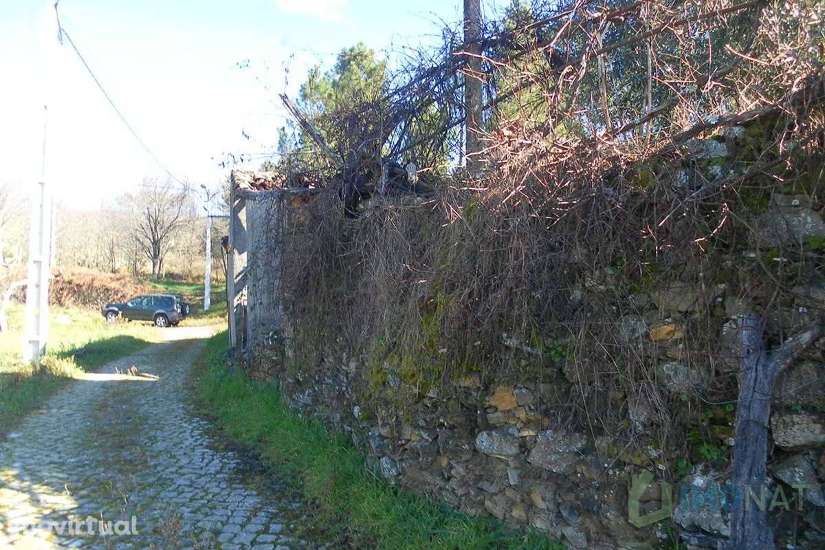 Imóvel Rural - Grande imagem: 4/37