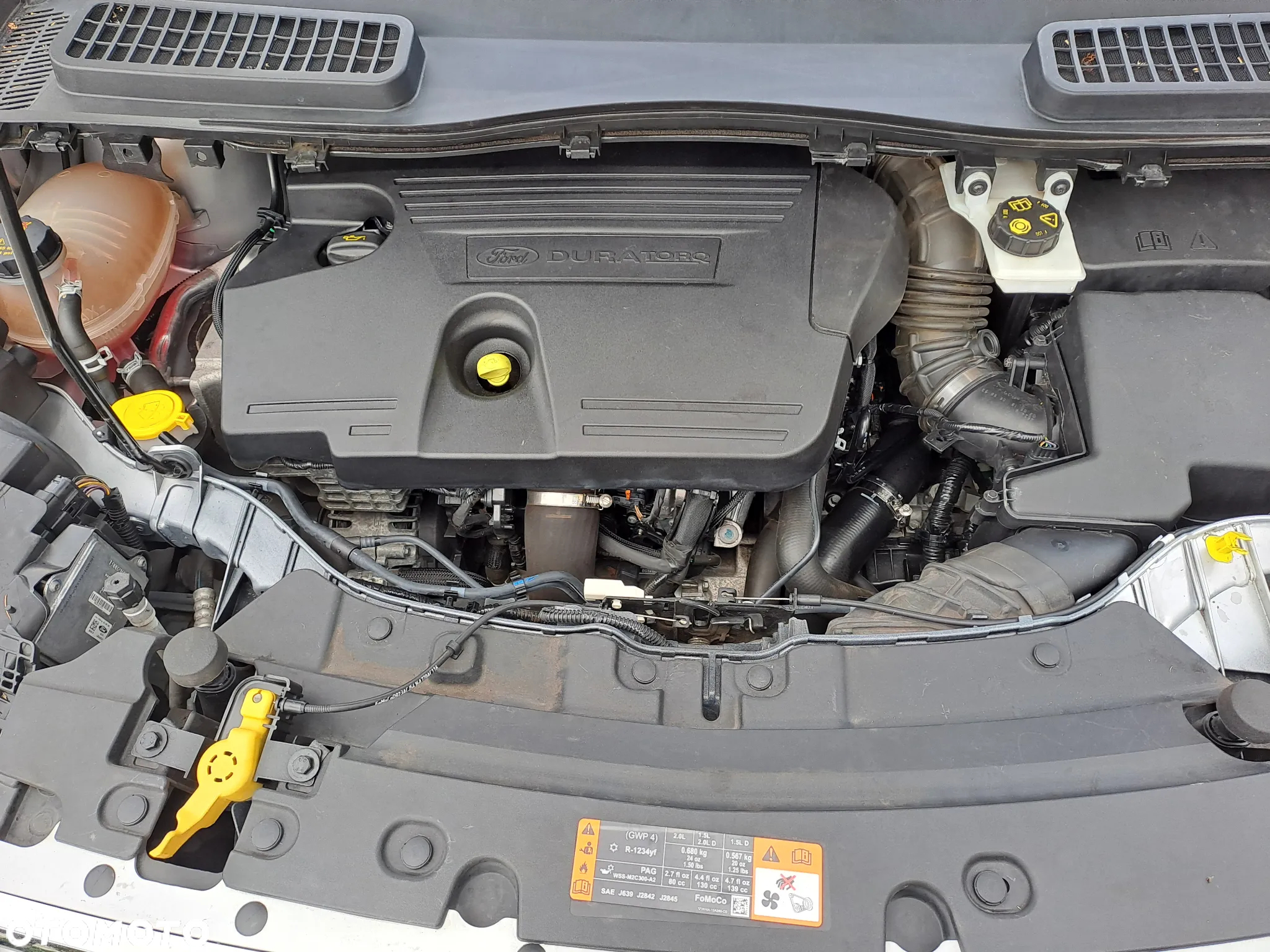 Ford Kuga 2.0 TDCi 4x4 Titanium - 22