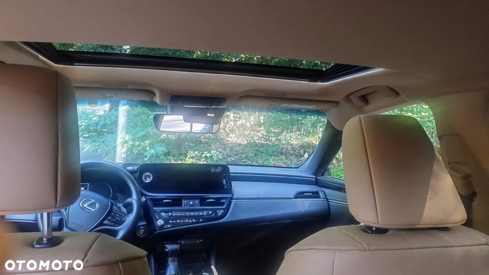 Lexus ES 300h Business Edition - 30