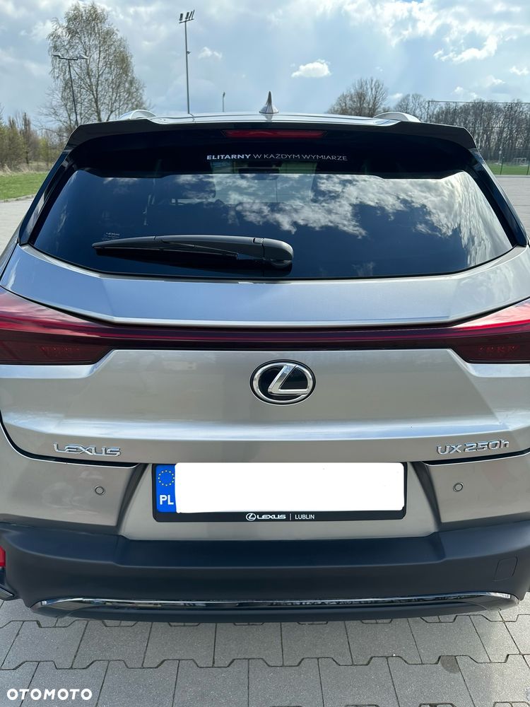 Lexus UX - 10