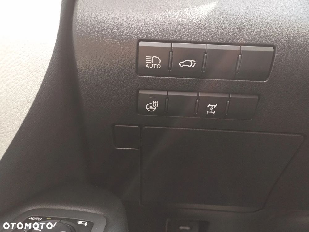 Lexus RX 300 Business Edition + - 11