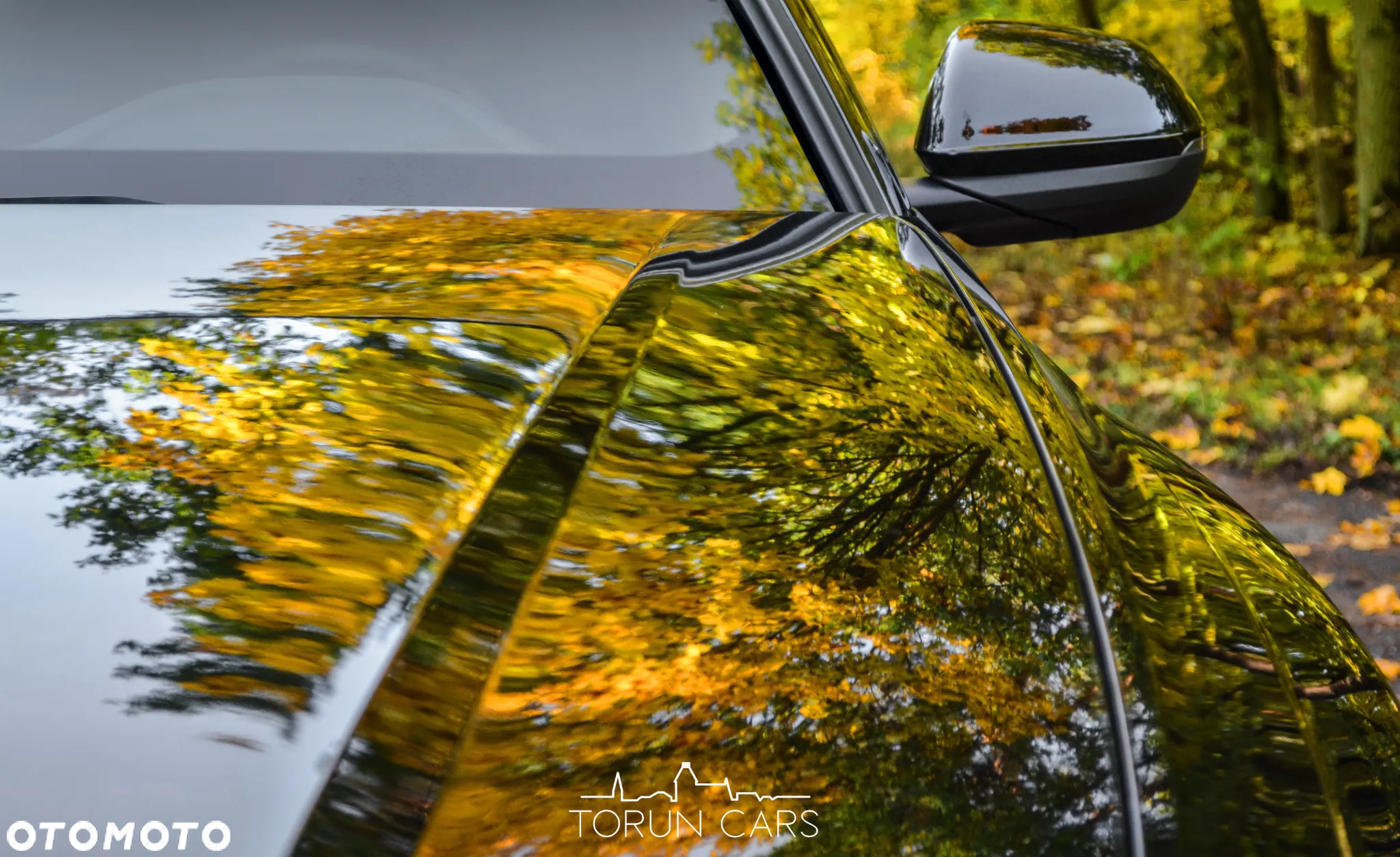 Audi RS Q8 - 4