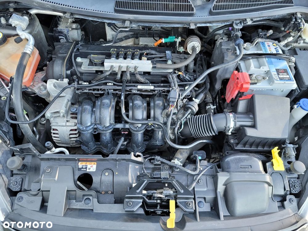 Ford Fiesta - 22