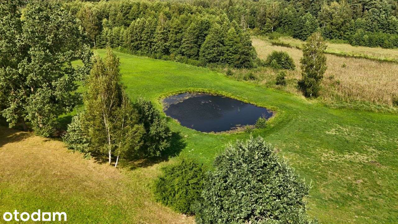 Osiedle nad Sapiną - atrakcyjny teren inwestycyjny - Pełny obrazek: 2/18