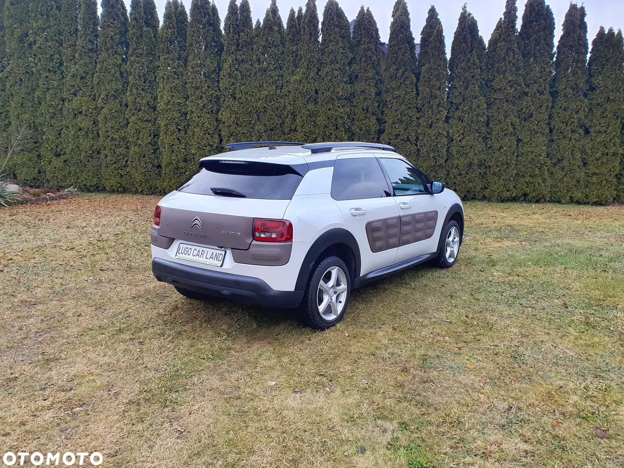 Citroën C4 Cactus 1.2 PureTech Shine S&S - 3