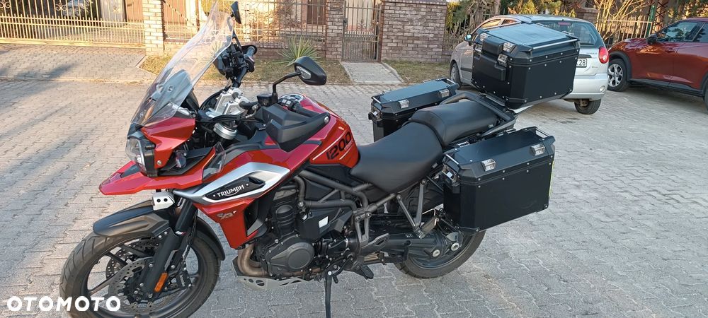 Triumph Tiger - 9