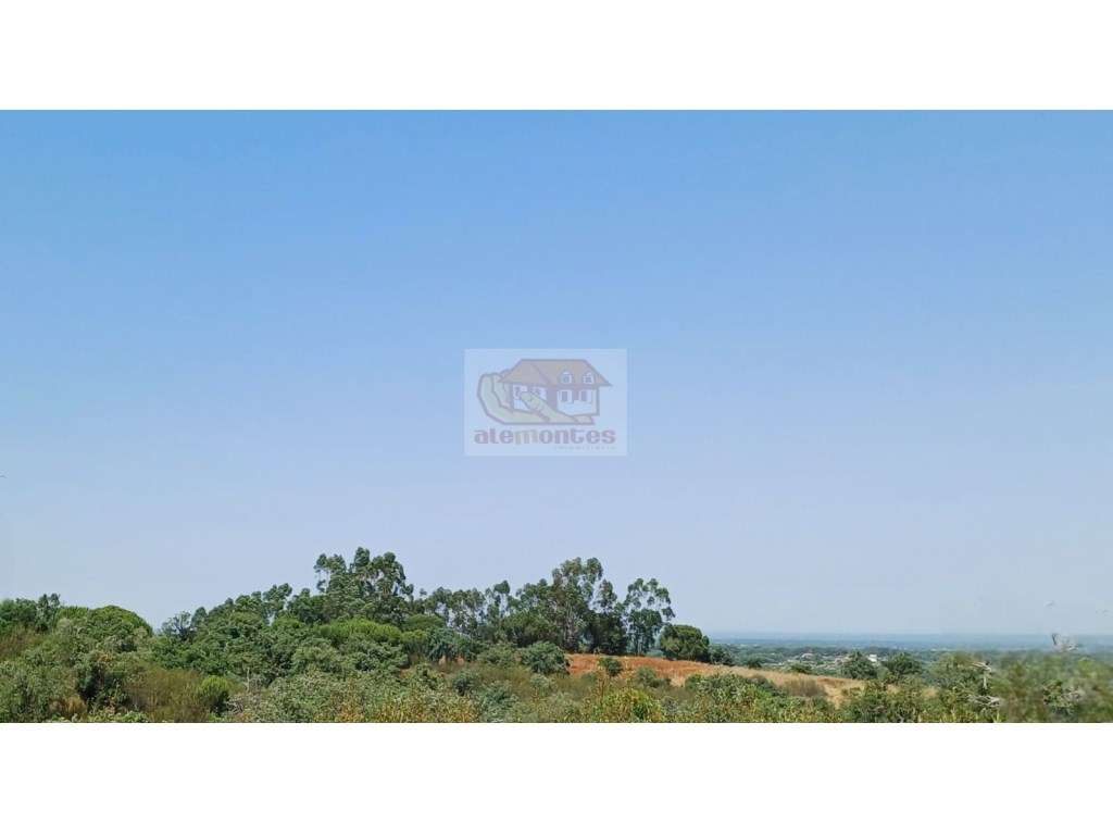 PROJECTO APROVADO para HOTEL RURAL - Terreno com 12 hectares e ruín... - Grande imagem: 3/18